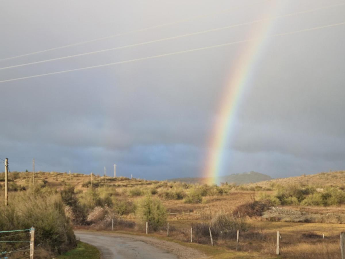 Gite De Navacelles Blandas Bagian luar foto